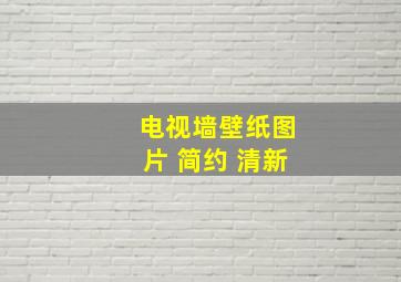 电视墙壁纸图片 简约 清新